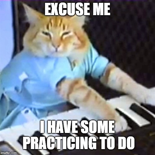Keyboard cat | EXCUSE ME I HAVE SOME PRACTICING TO DO | image tagged in keyboard cat | made w/ Imgflip meme maker