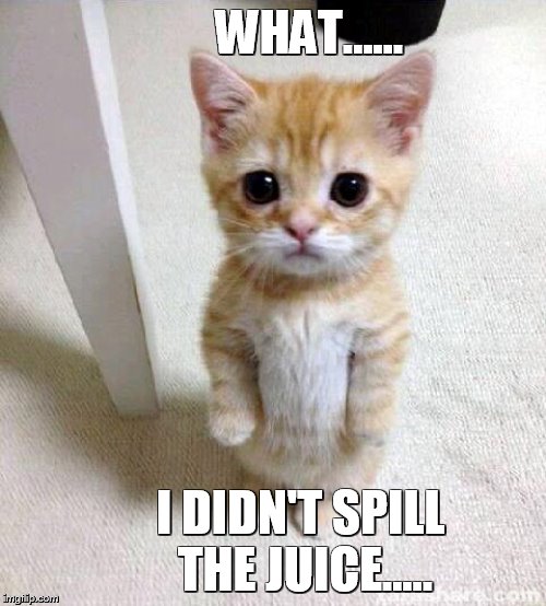 Cute Cat | WHAT...... I DIDN'T SPILL THE JUICE..... | image tagged in memes,cute cat | made w/ Imgflip meme maker