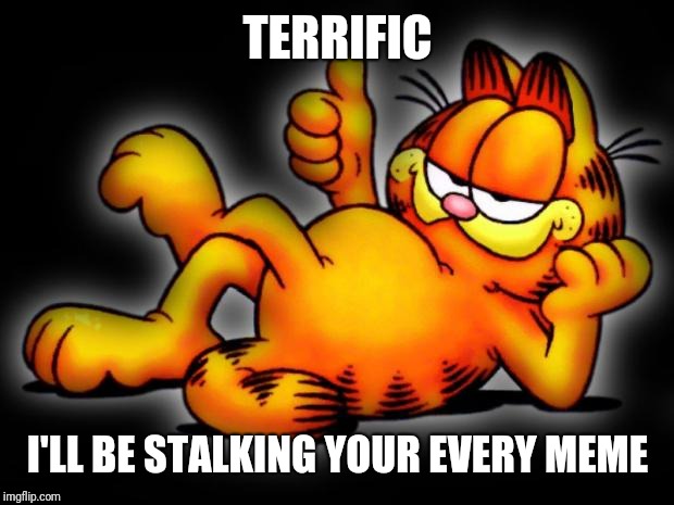garfield thumbs up | TERRIFIC I'LL BE STALKING YOUR EVERY MEME | image tagged in garfield thumbs up | made w/ Imgflip meme maker