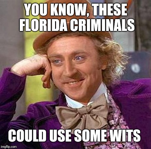 Creepy Condescending Wonka Meme | YOU KNOW, THESE FLORIDA CRIMINALS COULD USE SOME WITS | image tagged in memes,creepy condescending wonka | made w/ Imgflip meme maker