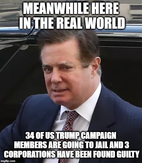 MEANWHILE HERE IN THE REAL WORLD 34 OF US TRUMP CAMPAIGN MEMBERS ARE GOING TO JAIL AND 3 CORPORATIONS HAVE BEEN FOUND GUILTY | made w/ Imgflip meme maker