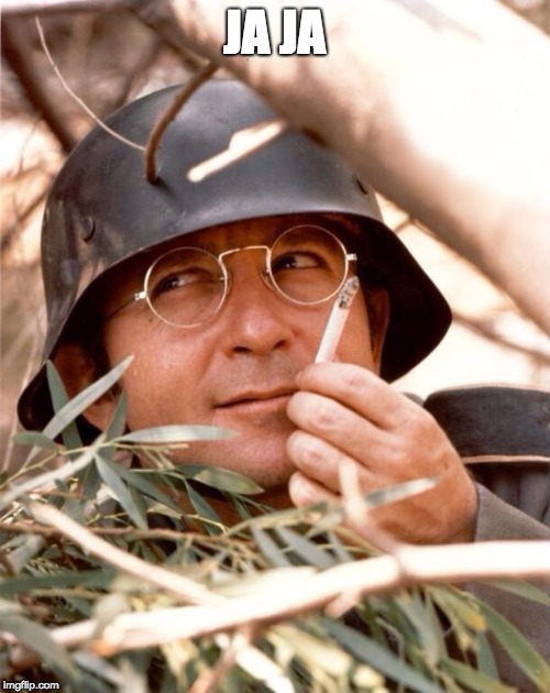 Wolfgang the German soldier | JA JA | image tagged in wolfgang the german soldier | made w/ Imgflip meme maker