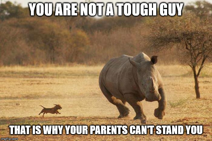 coward rhino | YOU ARE NOT A TOUGH GUY; THAT IS WHY YOUR PARENTS CAN'T STAND YOU | image tagged in animals | made w/ Imgflip meme maker