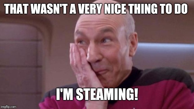 picard oops | THAT WASN'T A VERY NICE THING TO DO I'M STEAMING! | image tagged in picard oops | made w/ Imgflip meme maker