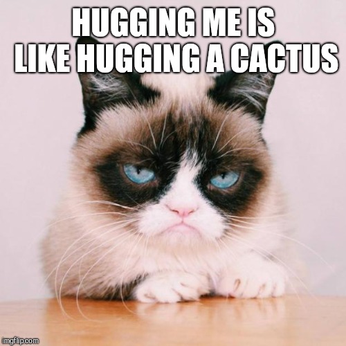 grumpy cat again | HUGGING ME IS LIKE HUGGING A CACTUS | image tagged in grumpy cat again | made w/ Imgflip meme maker