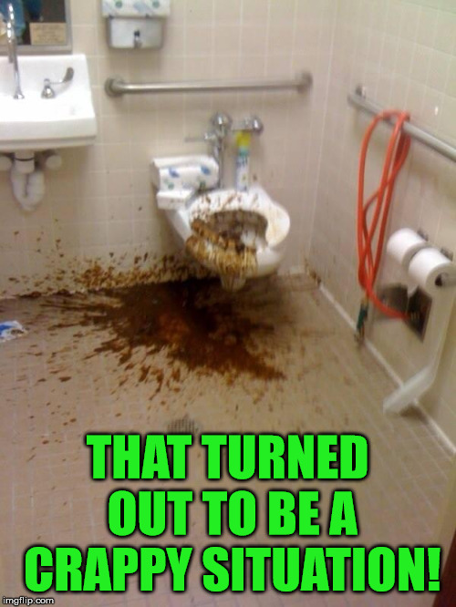 Girls poop too | THAT TURNED OUT TO BE A CRAPPY SITUATION! | image tagged in girls poop too | made w/ Imgflip meme maker