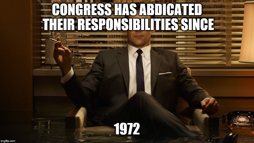 MadMen | CONGRESS HAS ABDICATED THEIR RESPONSIBILITIES SINCE 1972 | image tagged in madmen | made w/ Imgflip meme maker