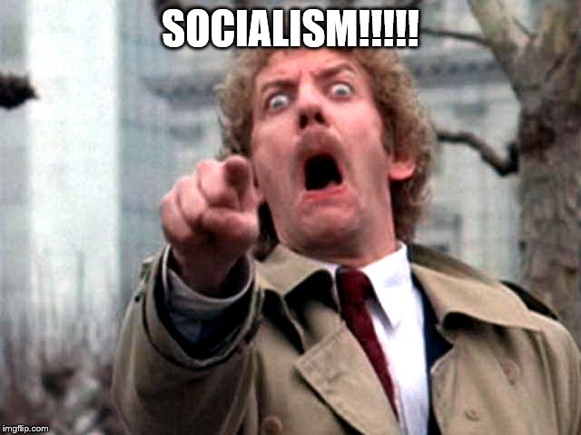 Screaming Donald Sutherland | SOCIALISM!!!!! | image tagged in screaming donald sutherland | made w/ Imgflip meme maker