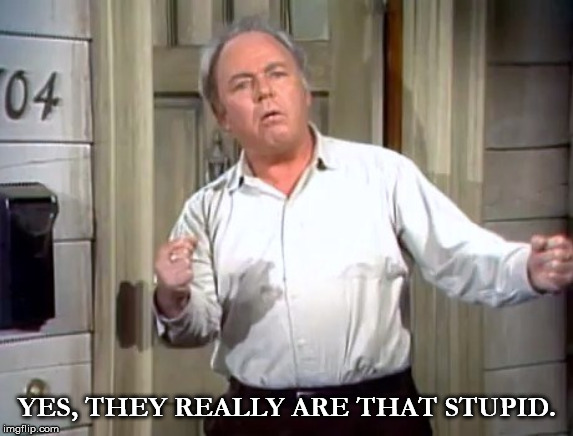 YES, THEY REALLY ARE THAT STUPID. | image tagged in archie bunker | made w/ Imgflip meme maker
