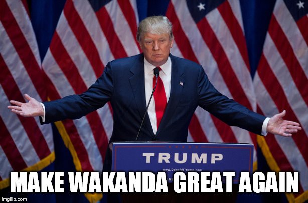 Donald Trump | MAKE WAKANDA GREAT AGAIN | image tagged in donald trump | made w/ Imgflip meme maker