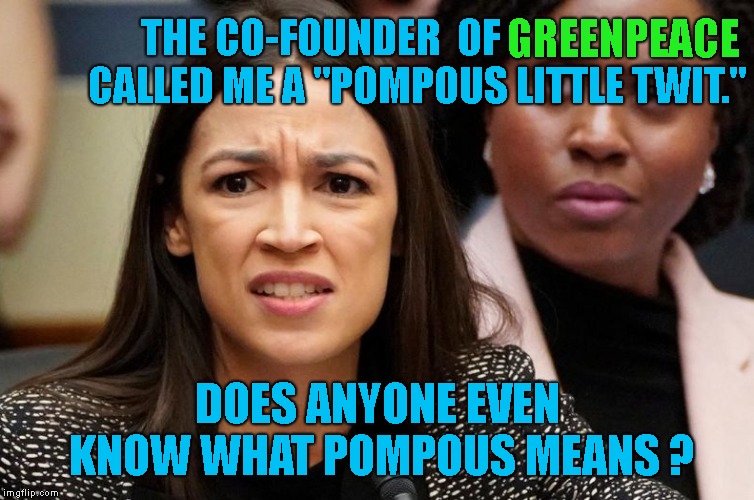 If you search "Pompous Little Twit" her name comes up on Google. LOL | GREENPEACE; THE CO-FOUNDER 
OF                       
CALLED ME A "POMPOUS LITTLE TWIT."; DOES ANYONE EVEN  KNOW WHAT POMPOUS MEANS ? | image tagged in pompous little twit,greenpeace,crazy alexandria ocasio-cortez,aoc,green new deal,garden variety liberal | made w/ Imgflip meme maker