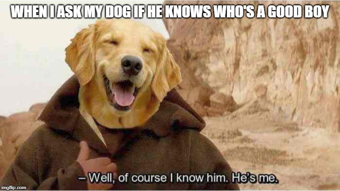 not mine, but oh so wholesome | WHEN I ASK MY DOG IF HE KNOWS WHO'S A GOOD BOY | image tagged in star wars,wholesome,memes,dogs | made w/ Imgflip meme maker