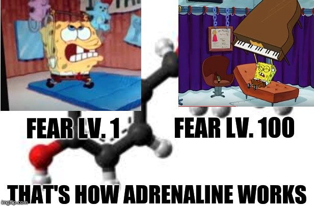 FEAR LV. 1            FEAR LV. 100; THAT'S HOW ADRENALINE WORKS | image tagged in grandma finds the internet | made w/ Imgflip meme maker