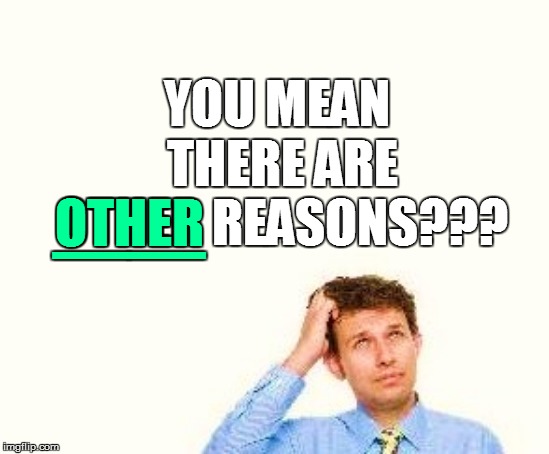 YOU MEAN THERE ARE OTHER REASONS??? OTHER __ | made w/ Imgflip meme maker