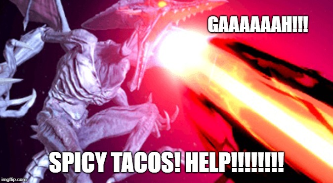 GAAAAAAH!!! SPICY TACOS! HELP!!!!!!!! | image tagged in metriod | made w/ Imgflip meme maker