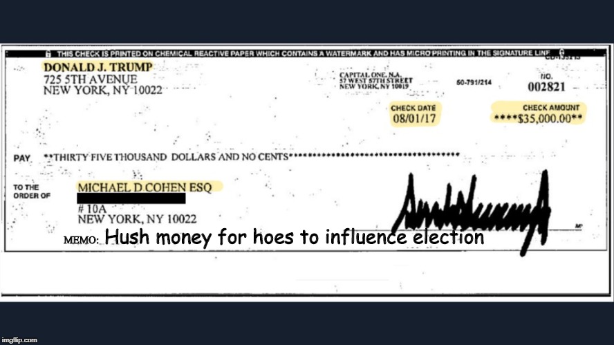 Cohen finally produces an unredacted check to prove Trump is a dooty head. | MEMO:; Hush money for hoes to influence election | image tagged in donald trump,trump russia collusion,michael cohen,politics,political meme | made w/ Imgflip meme maker