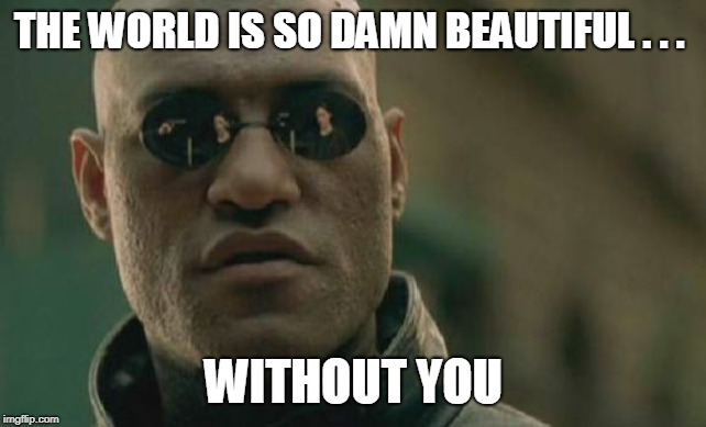Matrix Morpheus | THE WORLD IS SO DAMN BEAUTIFUL . . . WITHOUT YOU | image tagged in memes,matrix morpheus | made w/ Imgflip meme maker