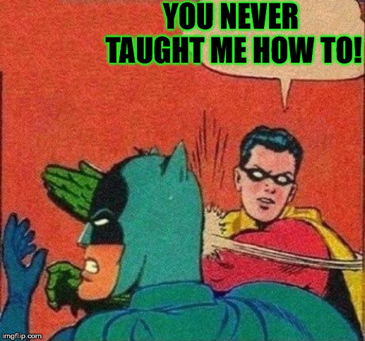 Robin Slaps Batman | YOU NEVER TAUGHT ME HOW TO! | image tagged in robin slaps batman | made w/ Imgflip meme maker