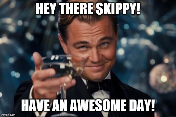 Leonardo Dicaprio Cheers Meme | HEY THERE SKIPPY! HAVE AN AWESOME DAY! | image tagged in memes,leonardo dicaprio cheers | made w/ Imgflip meme maker