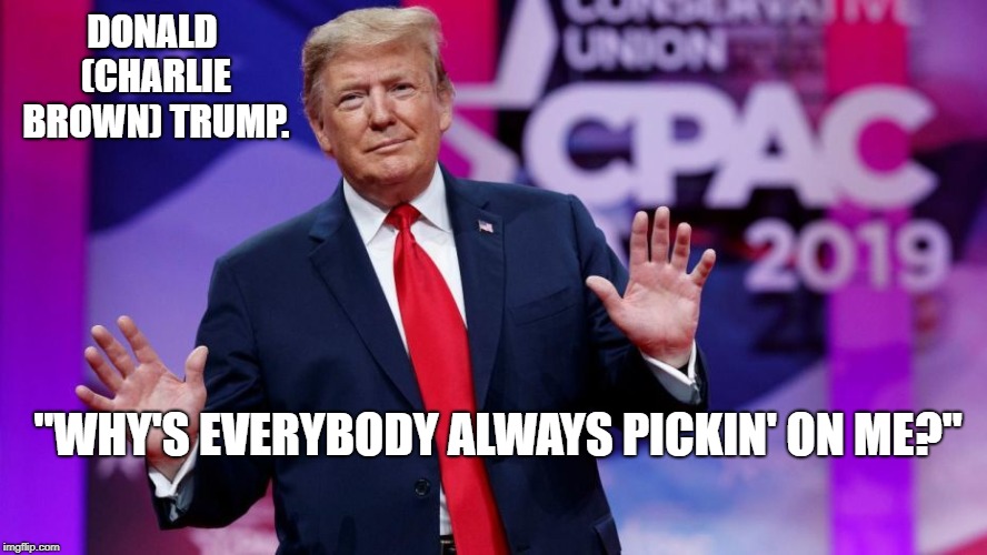 Poor Picked On Donnie | DONALD (CHARLIE BROWN) TRUMP. "WHY'S EVERYBODY ALWAYS PICKIN' ON ME?" | image tagged in political meme | made w/ Imgflip meme maker