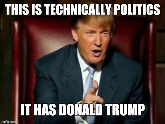 Technically politics  | THIS IS TECHNICALLY POLITICS; IT HAS DONALD TRUMP | image tagged in donald trump,am funny boi,technically politics,tags are funny,ps4 i don't think i could bear being alone in the hot tub,idk what | made w/ Imgflip meme maker