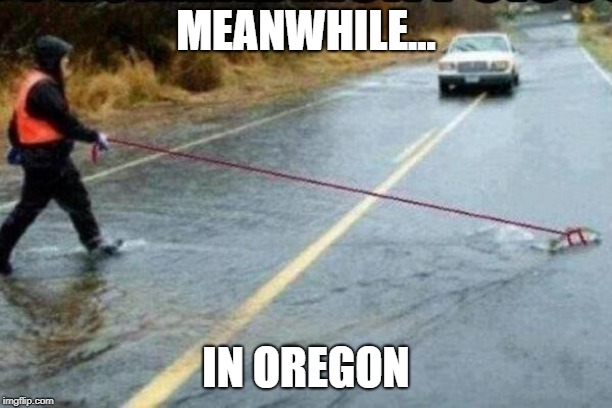 MEANWHILE... IN OREGON | made w/ Imgflip meme maker