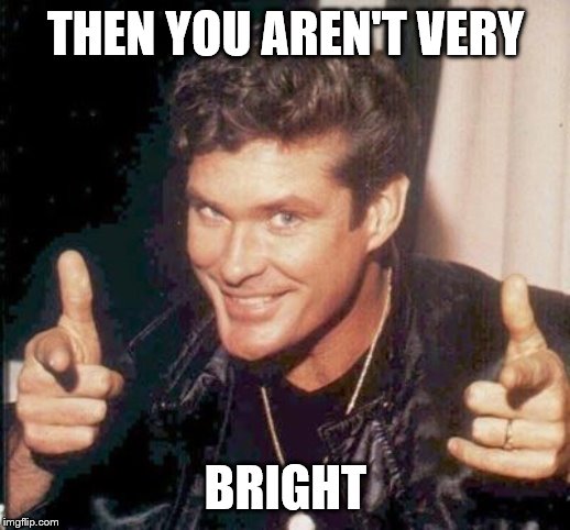 The Hoff thinks your awesome | THEN YOU AREN'T VERY BRIGHT | image tagged in the hoff thinks your awesome | made w/ Imgflip meme maker