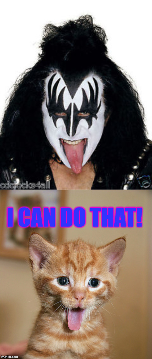 I present to you... the new Glam Rock Star! | I CAN DO THAT! | image tagged in funny,cats,kiss,gene simmons,tongue | made w/ Imgflip meme maker