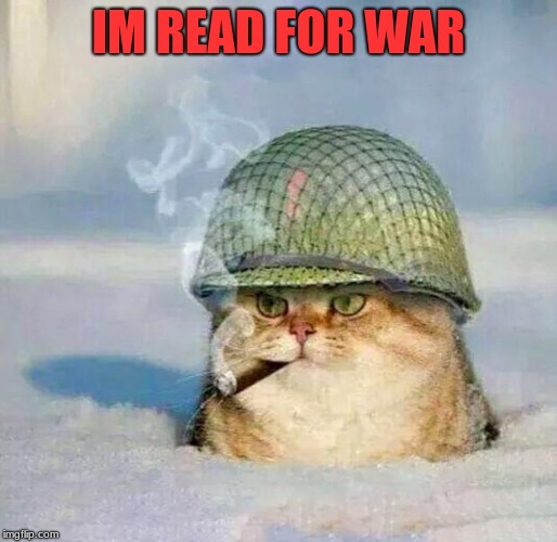 War Cat |  IM READ FOR WAR | image tagged in war cat | made w/ Imgflip meme maker