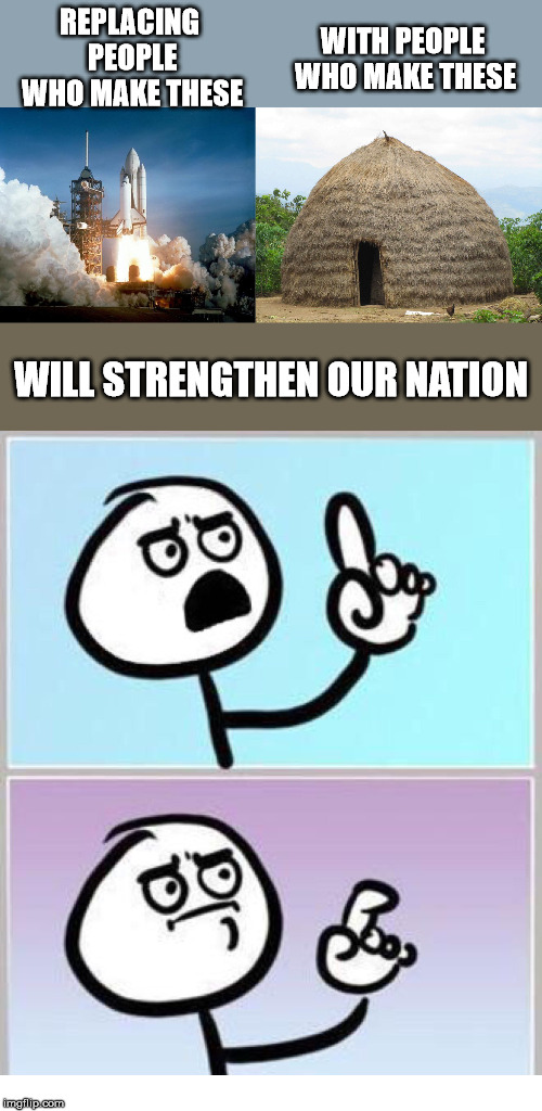 REPLACING PEOPLE WHO MAKE THESE; WITH PEOPLE WHO MAKE THESE; WILL STRENGTHEN OUR NATION | image tagged in rocket launch,wait what,un grass hut | made w/ Imgflip meme maker