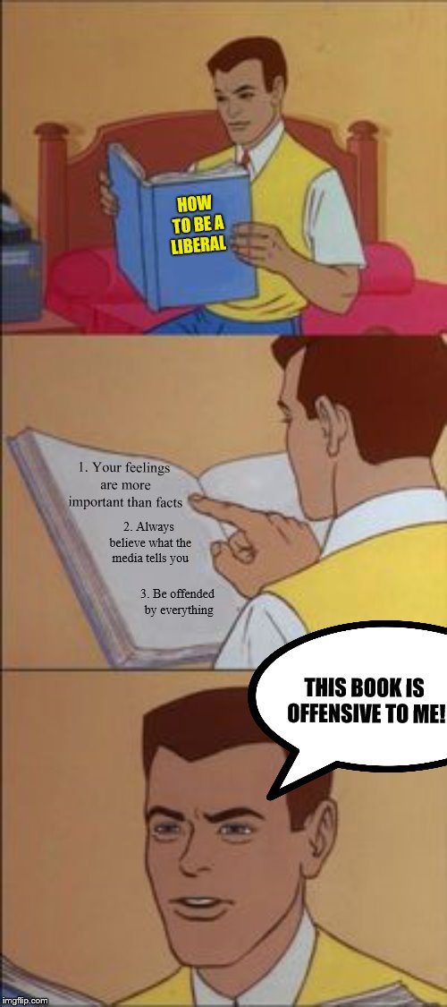 I'll just sit here and watch people prove me right | HOW TO BE A LIBERAL; 1. Your feelings are more important than facts; 2. Always believe what the media tells you; 3. Be offended by everything; THIS BOOK IS OFFENSIVE TO ME! | image tagged in peter parker reading a book,liberal logic,libtards,memes | made w/ Imgflip meme maker