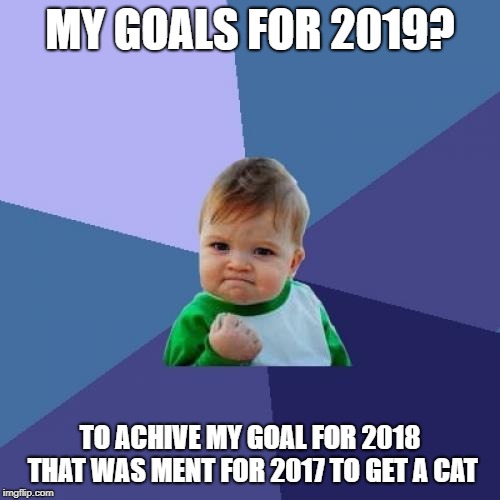 Success Kid Meme | MY GOALS FOR 2019? TO ACHIVE MY GOAL FOR 2018 THAT WAS MENT FOR 2017 TO GET A CAT | image tagged in memes,success kid | made w/ Imgflip meme maker