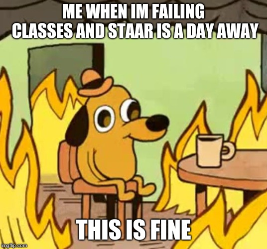 Its fine |  ME WHEN IM FAILING CLASSES AND STAAR IS A DAY AWAY; THIS IS FINE | image tagged in its fine | made w/ Imgflip meme maker