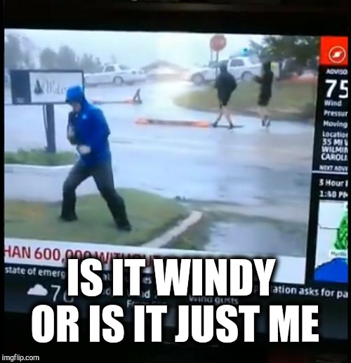Fake Weather News | IS IT WINDY OR IS IT JUST ME | image tagged in fake weather news | made w/ Imgflip meme maker