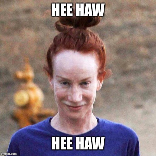 Kathy Griffin | HEE HAW HEE HAW | image tagged in kathy griffin | made w/ Imgflip meme maker