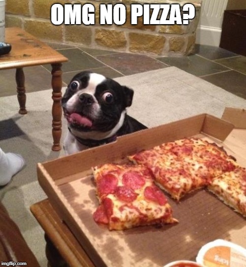 Hungry Pizza Dog | OMG NO PIZZA? | image tagged in hungry pizza dog | made w/ Imgflip meme maker
