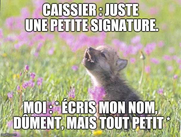 Baby Insanity Wolf Meme | CAISSIER : JUSTE UNE PETITE SIGNATURE. MOI : * ÉCRIS MON NOM, DÛMENT, MAIS TOUT PETIT * | image tagged in memes,baby insanity wolf | made w/ Imgflip meme maker