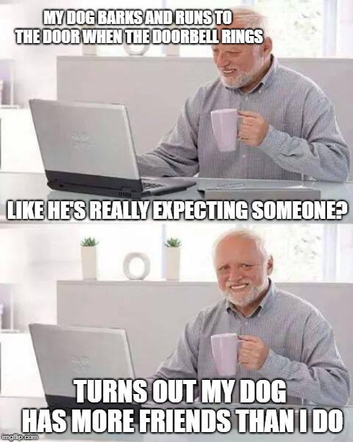 Hide the Pain Harold | MY DOG BARKS AND RUNS TO THE DOOR WHEN THE DOORBELL RINGS; LIKE HE'S REALLY EXPECTING SOMEONE? TURNS OUT MY DOG HAS MORE FRIENDS THAN I DO | image tagged in memes,hide the pain harold | made w/ Imgflip meme maker