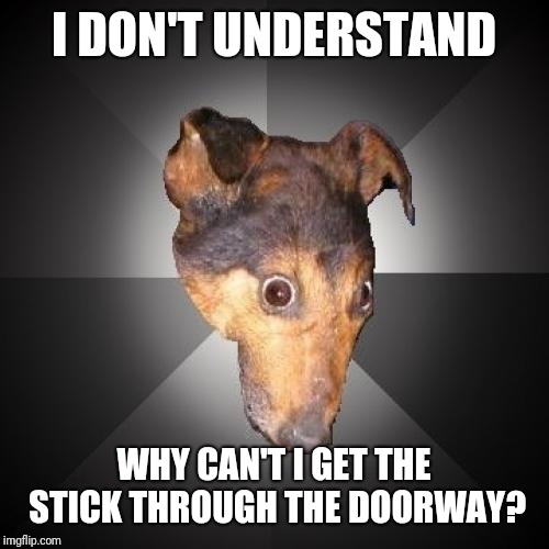 Depression Dog Meme | I DON'T UNDERSTAND; WHY CAN'T I GET THE STICK THROUGH THE DOORWAY? | image tagged in memes,depression dog | made w/ Imgflip meme maker