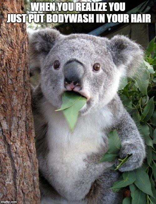 Suprised Koala | WHEN YOU REALIZE YOU JUST PUT BODYWASH IN YOUR HAIR | image tagged in suprised koala | made w/ Imgflip meme maker