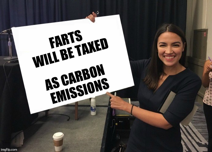 Ocasio-Cortez cardboard | FARTS WILL BE TAXED; AS CARBON EMISSIONS | image tagged in ocasio-cortez blank board | made w/ Imgflip meme maker