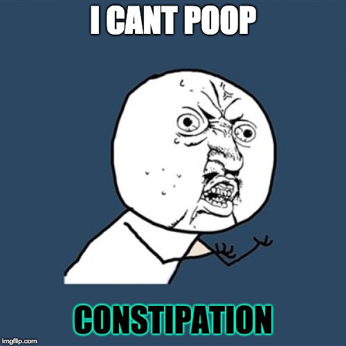 Y U No | I CANT POOP; CONSTIPATION | image tagged in memes,y u no | made w/ Imgflip meme maker