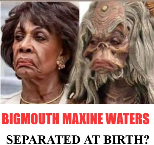 Low IQ Maxine Waters: Separated at Birth? | BIGMOUTH MAXINE WATERS | image tagged in bigmouth,loudmouth,low iq maxine waters,separated at birth,gasoline maxine,inpeach maxine | made w/ Imgflip meme maker
