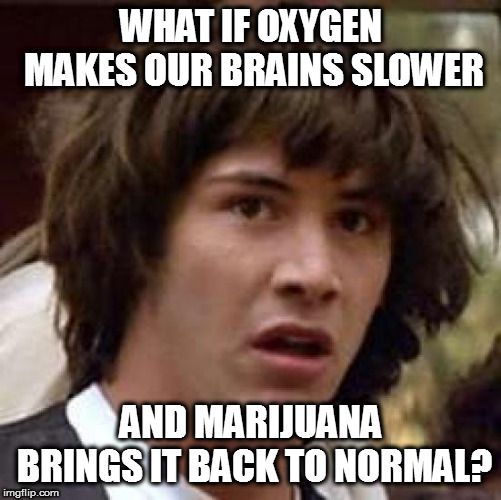 Conspiracy Keanu Meme | WHAT IF OXYGEN MAKES OUR BRAINS SLOWER; AND MARIJUANA BRINGS IT BACK TO NORMAL? | image tagged in memes,conspiracy keanu | made w/ Imgflip meme maker