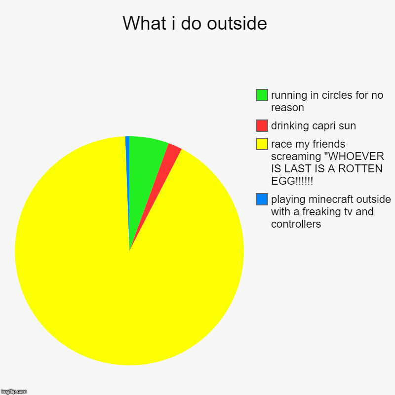 What i do outside | playing minecraft outside with a freaking tv and controllers, race my friends screaming "WHOEVER IS LAST IS A ROTTEN EGG | image tagged in charts,pie charts | made w/ Imgflip chart maker