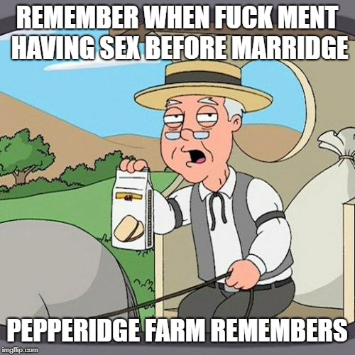 Pepperidge Farm Remembers Meme | REMEMBER WHEN F**K MENT HAVING SEX BEFORE MARRIDGE PEPPERIDGE FARM REMEMBERS | image tagged in memes,pepperidge farm remembers | made w/ Imgflip meme maker