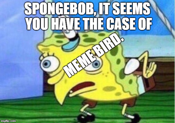 Mocking Spongebob | SPONGEBOB, IT SEEMS YOU HAVE THE CASE OF; MEME BIRD. | image tagged in memes,mocking spongebob | made w/ Imgflip meme maker