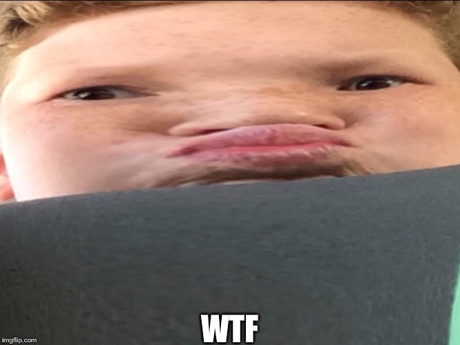 WTF | image tagged in weird | made w/ Imgflip meme maker