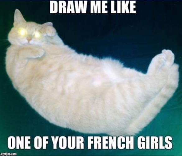Pinky  | image tagged in cats,polydactyl,titanic,scranton,draw me like one of your french girls | made w/ Imgflip meme maker