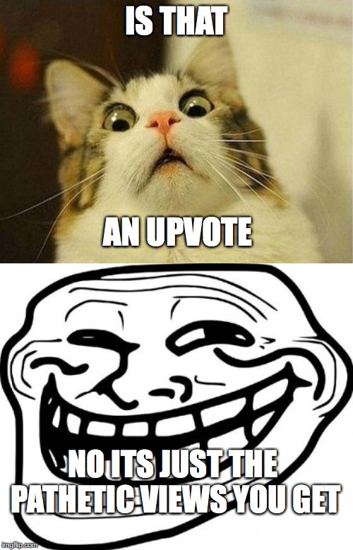 IS THAT; AN UPVOTE; NO ITS JUST THE PATHETIC VIEWS YOU GET | image tagged in memes,troll face,scared cat | made w/ Imgflip meme maker
